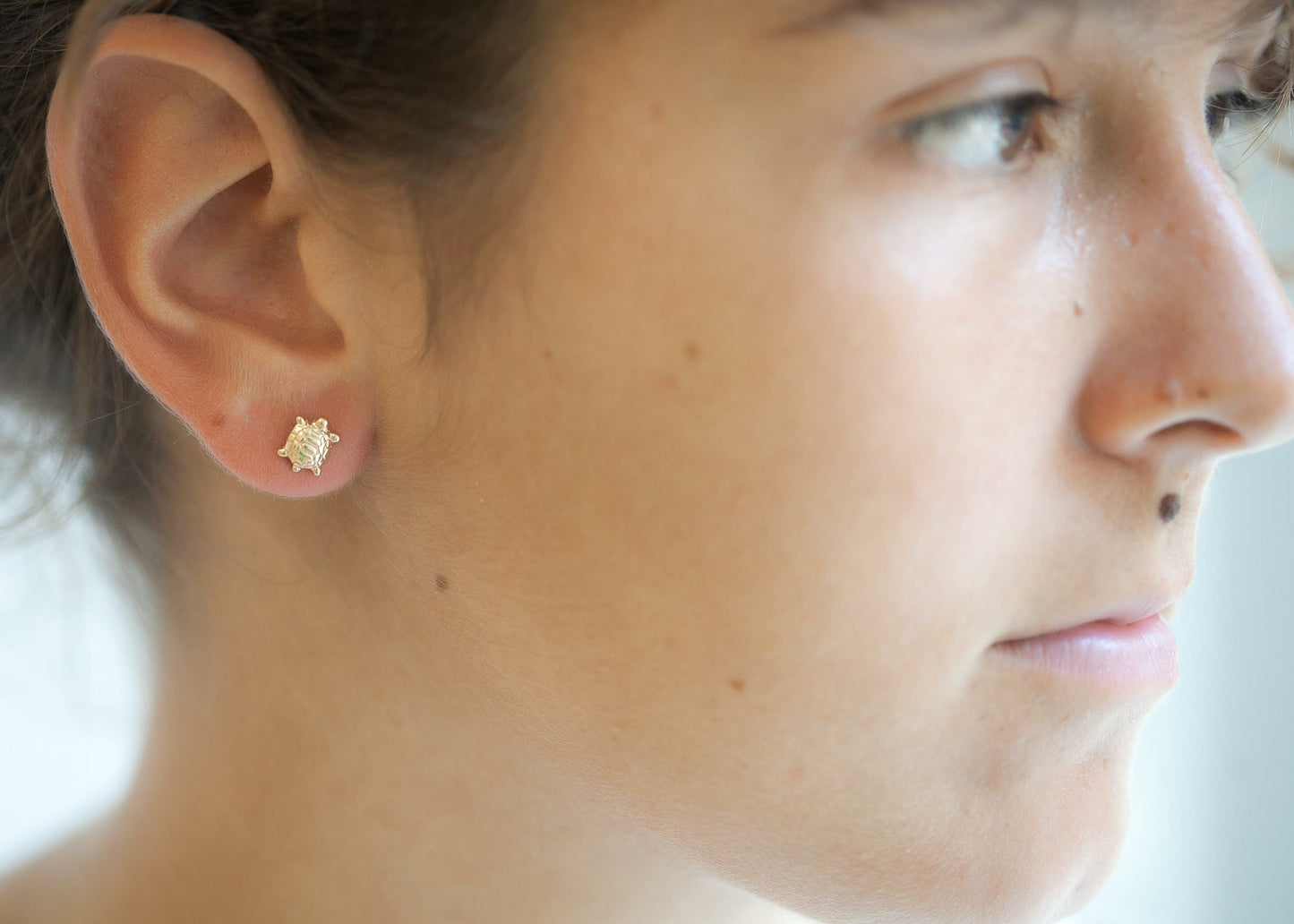 Ohrringe Stecker Schildkröte - 16K Vergoldet