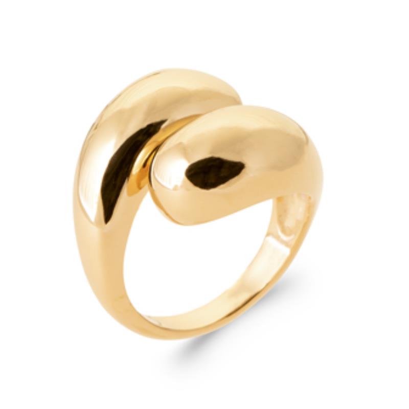 Vergoldeter Doppelring mit elegantem Design